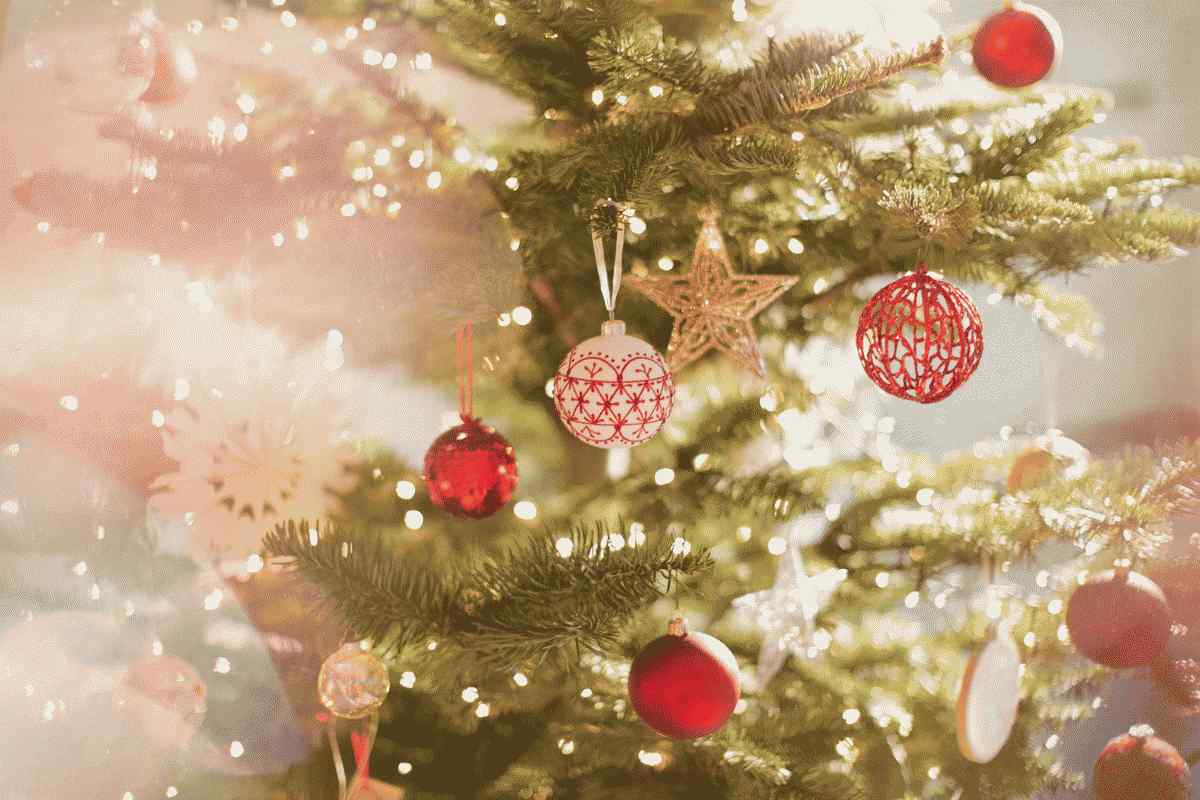 Kde získať najlepšie vopred rozsvietené vianočné stromčeky