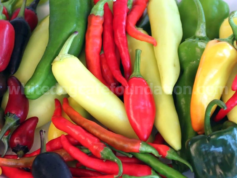 Jak měříte teplo chilli papričky?