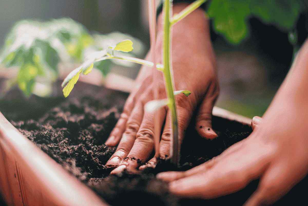 Zašto vrtlarstvo nije samo za starije ljude